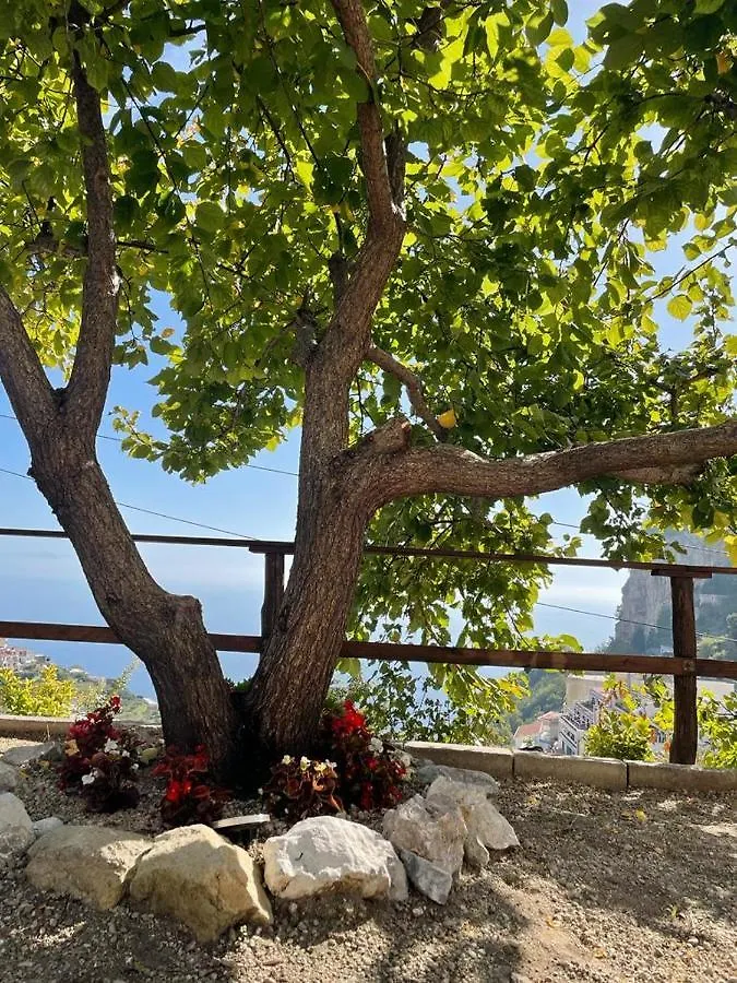 La Villa Di Enzo Amalfi Appartamento