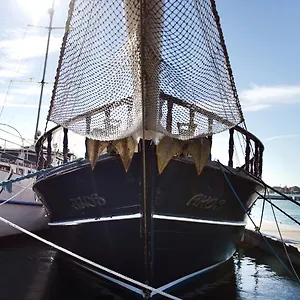 Akos Venezia